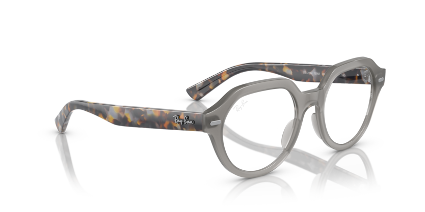 GINA OPTICS