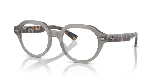 GINA OPTICS